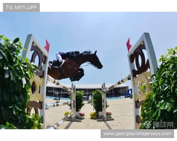 如何快速登录8868体育网页版实现全天候体育赛事观看体验提升